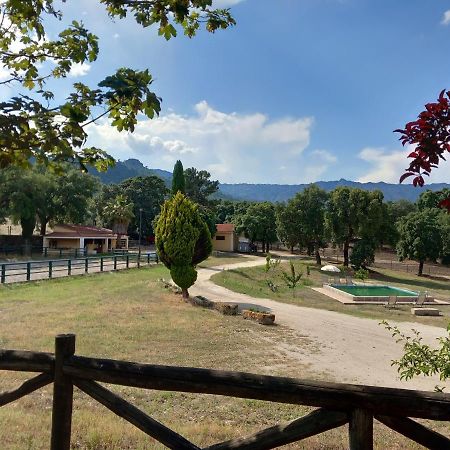 Casa Da Vinha Villa Castelo Novo Ngoại thất bức ảnh