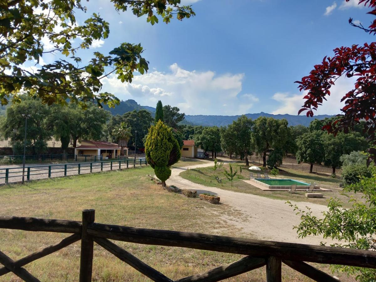Casa Da Vinha Villa Castelo Novo Ngoại thất bức ảnh