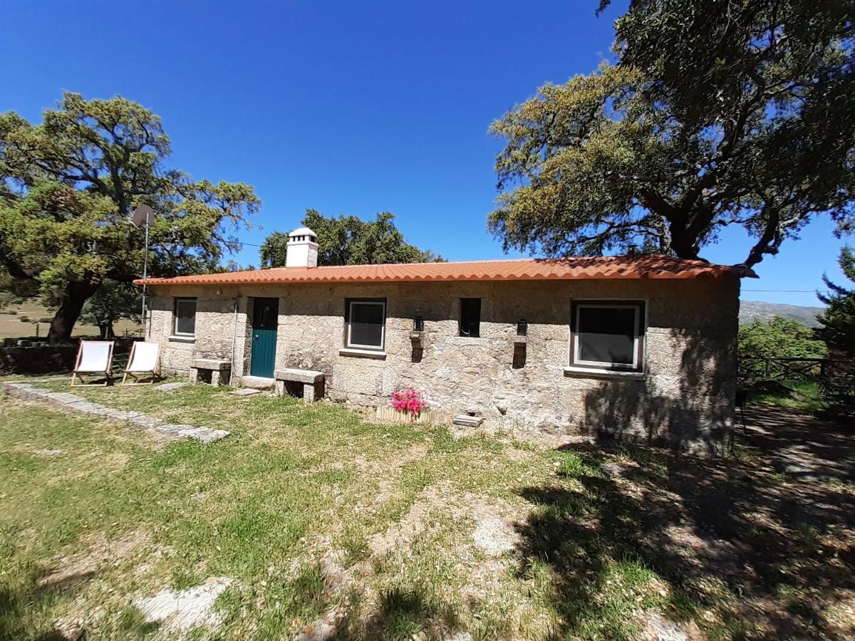 Casa Da Vinha Villa Castelo Novo Ngoại thất bức ảnh