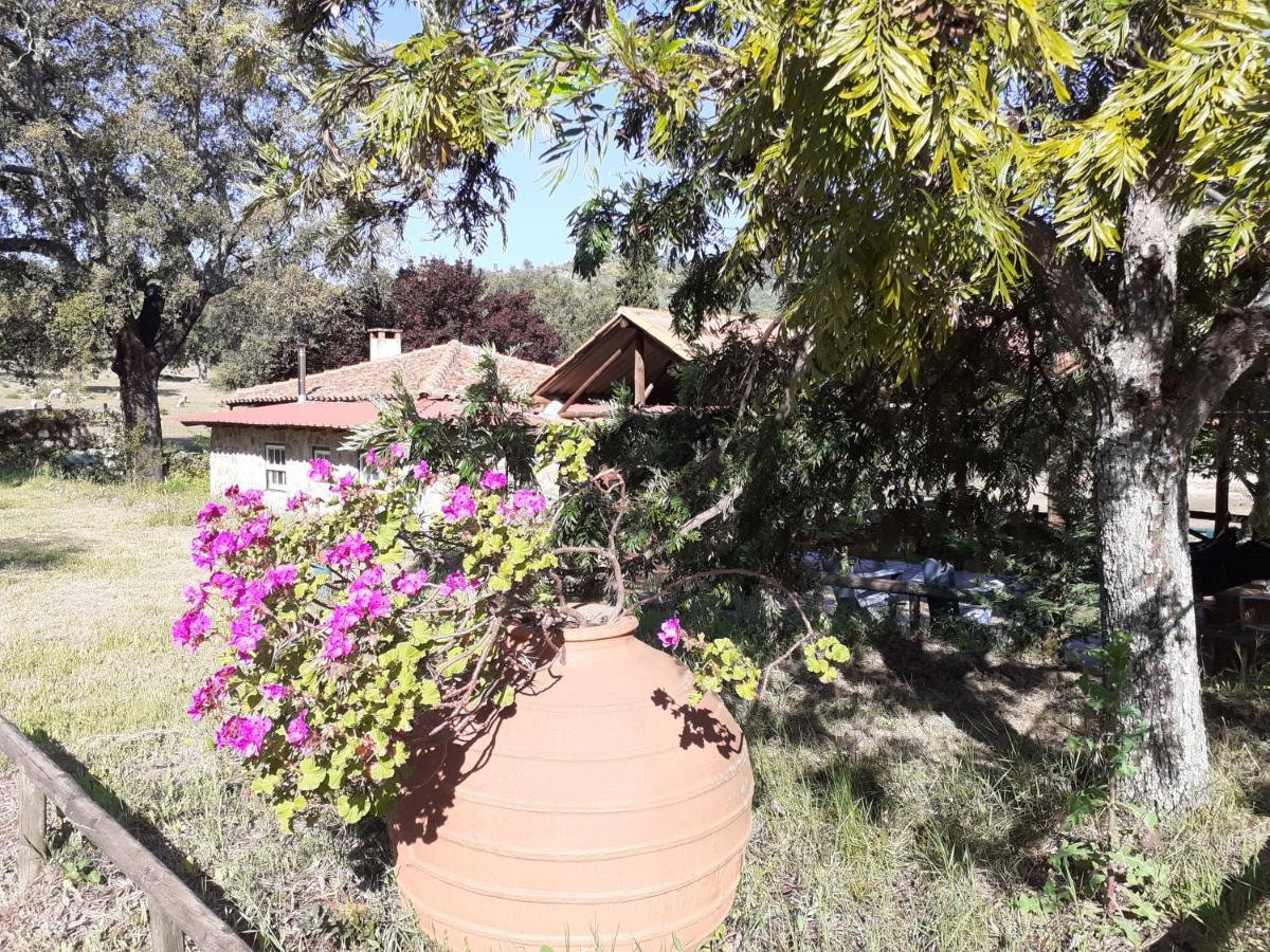 Casa Da Vinha Villa Castelo Novo Ngoại thất bức ảnh
