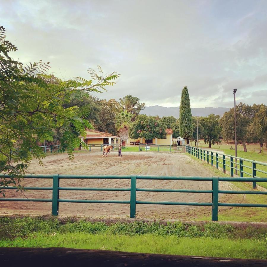 Casa Da Vinha Villa Castelo Novo Ngoại thất bức ảnh