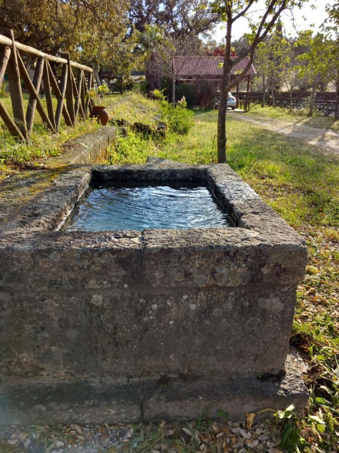 Casa Da Vinha Villa Castelo Novo Ngoại thất bức ảnh